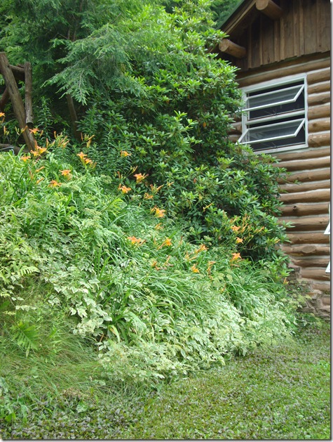 DSC04308
