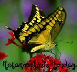 [Pic_for_Body_of_Blog3[4].jpg]