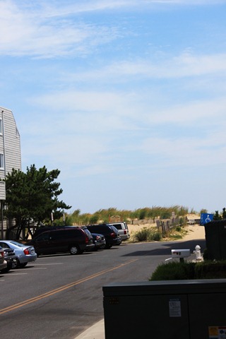 [2010_07_30_0297RT[7].jpg]