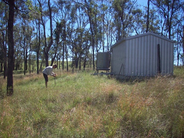 [200812310382.jpg]