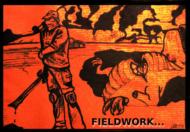 fieldwork...
