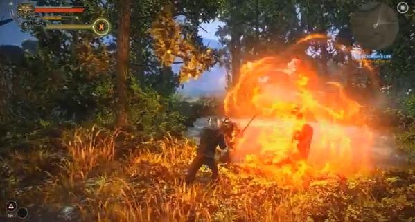 [the witcher 2 gameplay video 01[3].jpg]