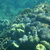 DSC04791.JPG, Cruise 2009