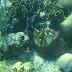 DSC04799.JPG, Cruise 2009