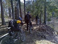 25042011991.jpg Photo