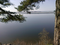 25042011989.jpg Photo
