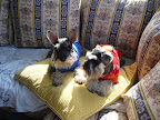 DSC05319.JPG