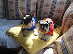 DSC05320.JPG