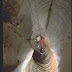 img001.jpg