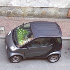 Giardino IN ...auto (L. Butera)