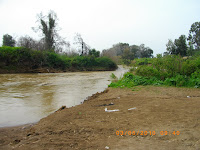IMGP0456.JPG Photo