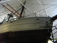 IMGP2589.JPG Photo