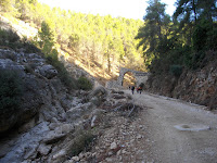 IMGP3861.JPG Photo