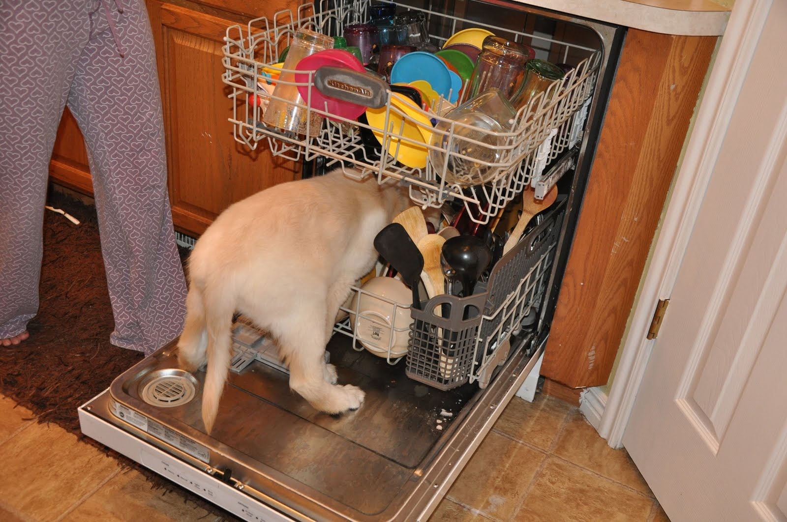 [Sebastian_Loves_To_Do_The_Dishes_003[2][7].jpg]