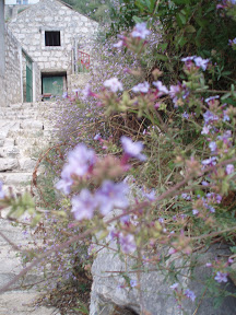 P9230730.jpg