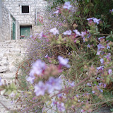 Lastovo 2009
