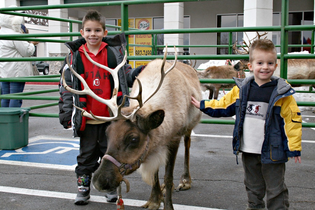 [Boys with Reindeer[6].jpg]