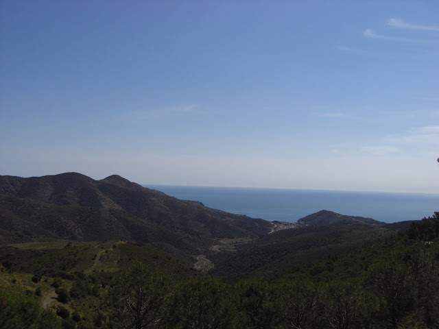 CIMG0317.JPG