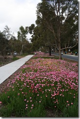 IMG_3667 IMG_3667