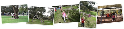 View Kings park