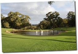 IMG_3686 IMG_3686