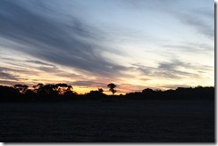 IMG_0740 IMG_0740