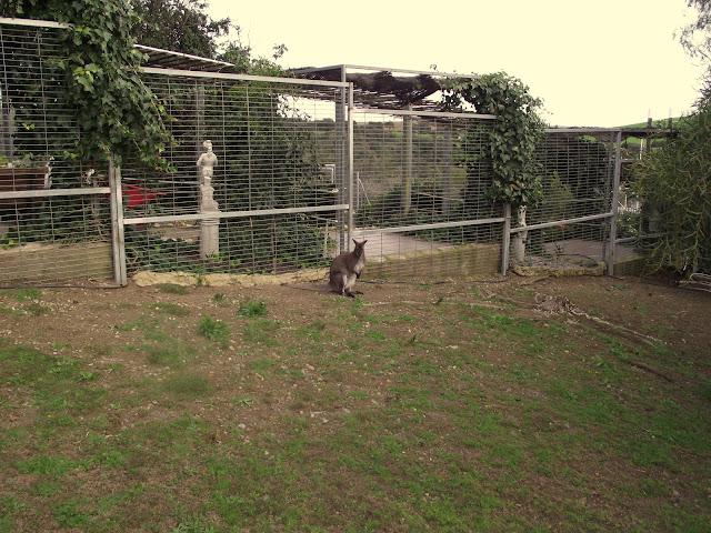 Zoos del Mundo Zoo de Sevilla Otros zoológicos españoles