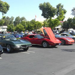 Central California Corvette Club Car Show 2009