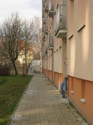 http://lh4.ggpht.com/_QOcfkF2Z8iw/S65_yNGlU0I/AAAAAAAAAYI/02-7fZ5Uw_w/s512/20100327_0062.jpg