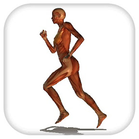 人体標本がポージング「Random Pose」 ~ iPad Creator