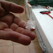 The day after the meeting, we had a thunder storm with some pretty big hailstones!!