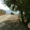 The Gecko Run - DSCF4744.JPG
