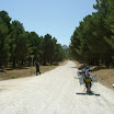 The Gecko Run - DSCF4621.JPG