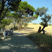 The Gecko Run - DSCF4688.JPG