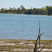 Represa
