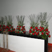Festa-Josiane-Walisson_137.JPG