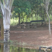 AABB_074.JPG