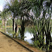 AABB_011.JPG