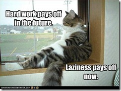 funny-pictures-cat-is-lazy funny-pictures-cat-is-lazy