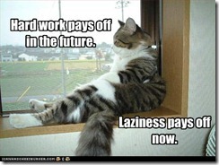 funny-pictures-cat-is-lazy