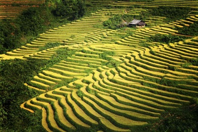 [laocai103.jpg]