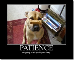 patience_small1