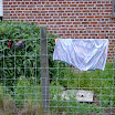 DSC01714.JPG