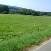 DSC01619.JPG