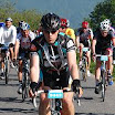 tilff10snr8446b.jpg