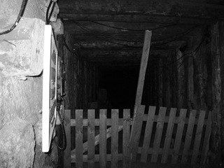 [saltmine169.jpg]