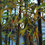 SH_Expo_0019.JPG