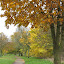 Beautiful Path - York