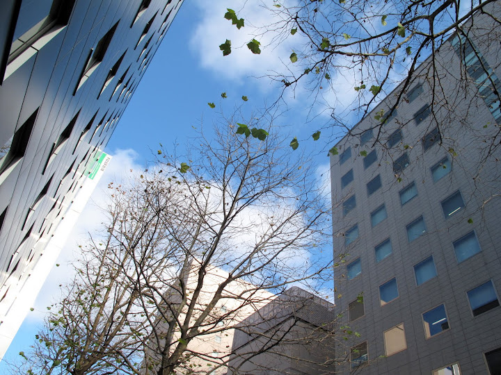 札幌的天空