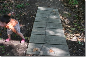 IMG_3866 IMG_3866